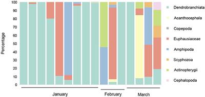 New Determination of Prey and Parasite Species for Northern Indian Ocean Blue Whales